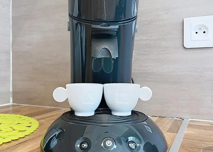 Maison Spacieuse Au Coeur Des Vignes Gersoises Cazeneuve